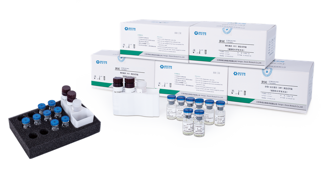 Reactivos TORCH RV IgM para analizador automático de inmunoensayo en muestras de suero humano