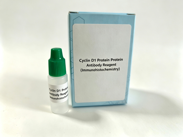 Reactivo Proteína Anticuerpo Proteína Ciclina D1 (Inmunohistoquímica)