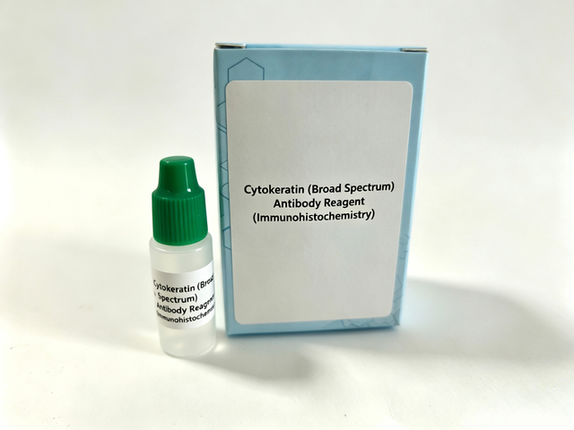 Reactivo de anticuerpos de citoqueratina (amplio espectro) (inmunohistoquímica)